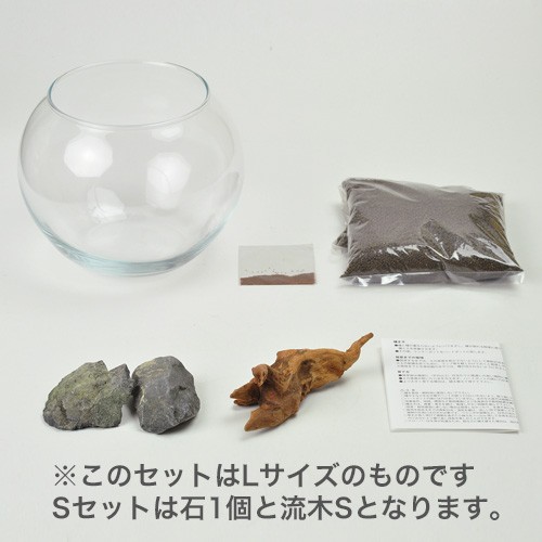 育てる水草 水草栽培キット Sサイズ Gd 812 3月 9月限定 ええもん Navi Av機器 雑貨 日用品など幅広い商品の卸売り 総合仕入れサイト
