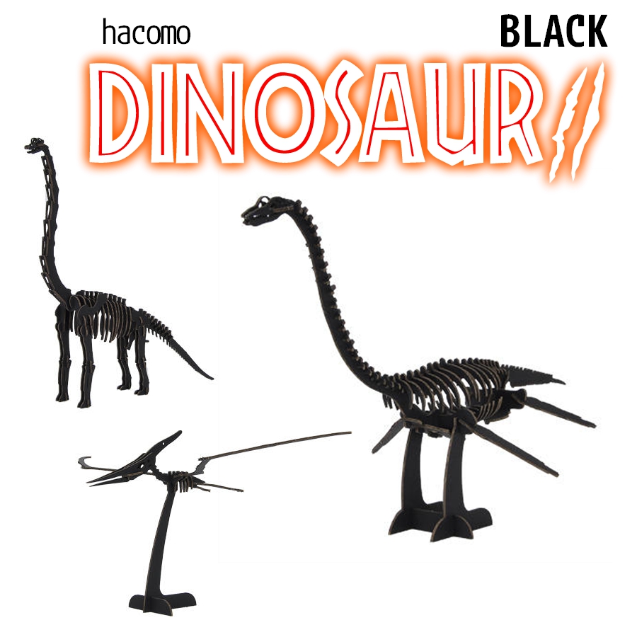 hacomo DINOSAUR BLACK 2　3種類